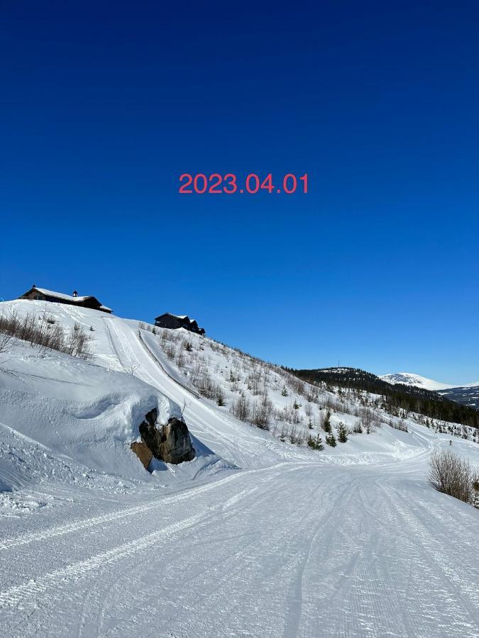 Perfect Moutain Getaway! Beautiful Apartment At Skagahogdi With Panoramic View Каґолоґоло Екстер'єр фото